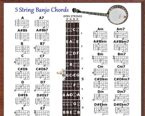 Guitar Strings, Ukulele Strings, Banjo Strings & More